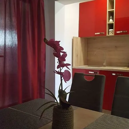 Goran & Nela Apartment